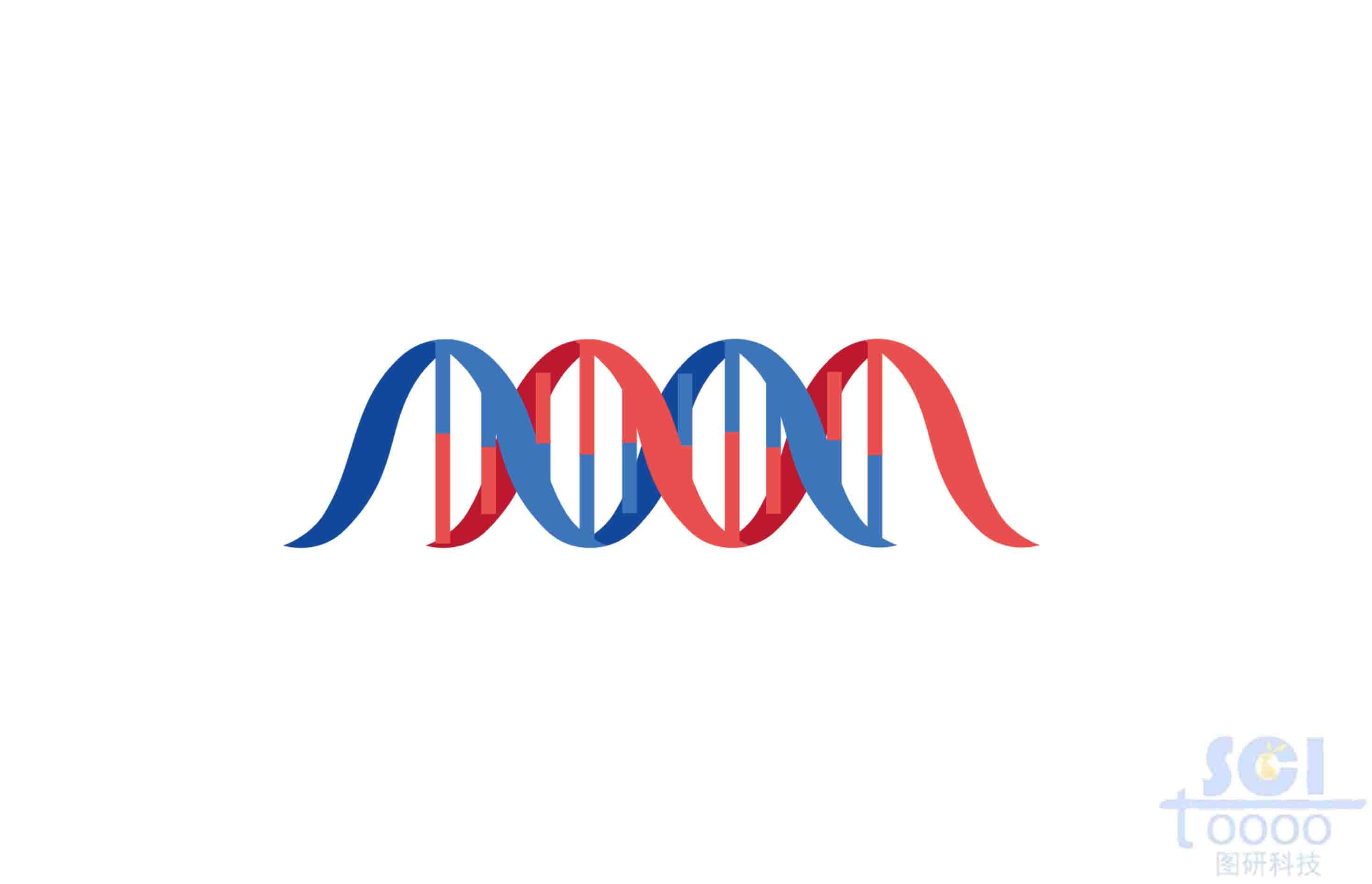 雙螺旋DNA