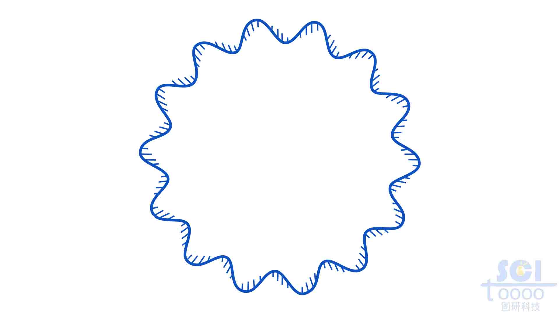 環(huán)狀DNA
