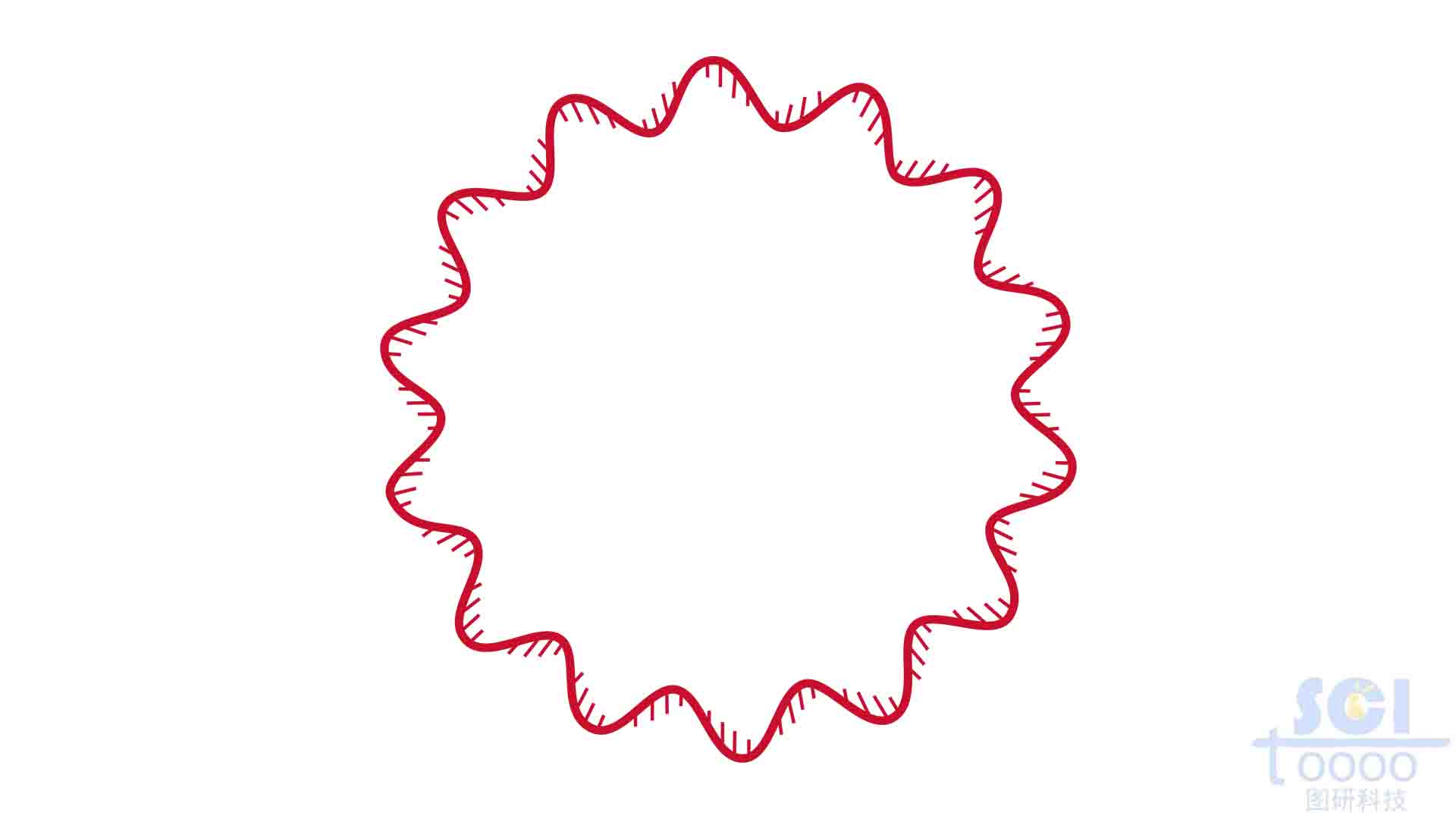 環(huán)狀DNA
