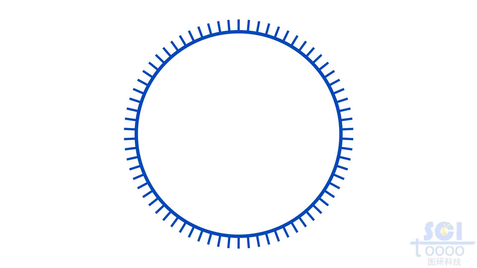 環(huán)狀DNA