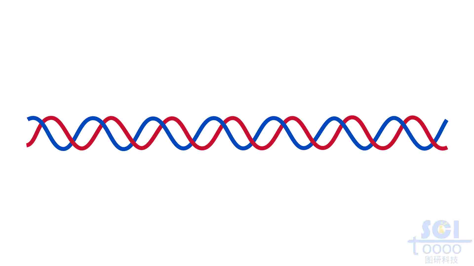 雙螺旋DNA