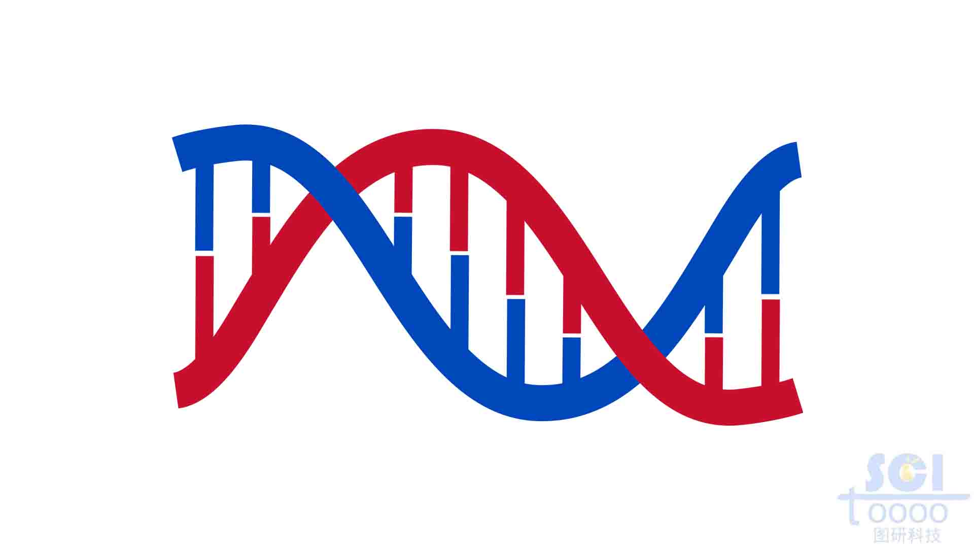 雙螺旋DNA