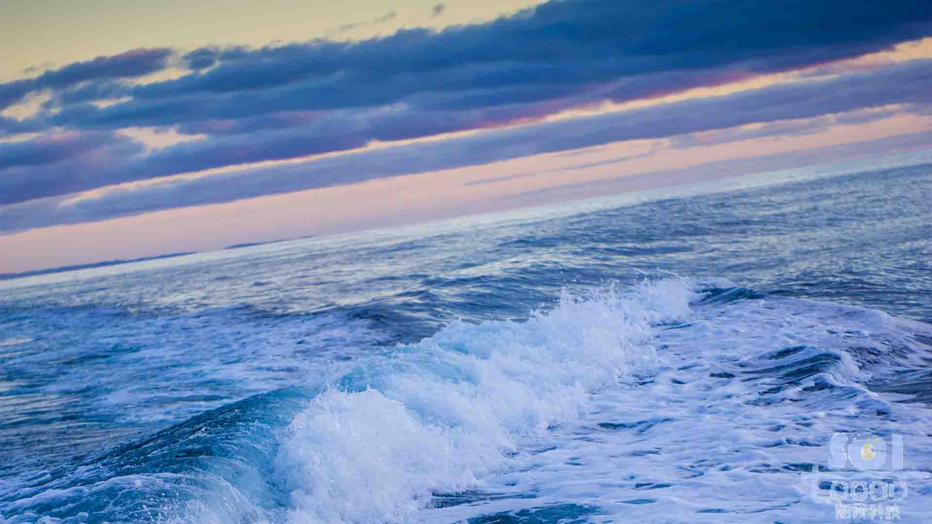 海洋素材