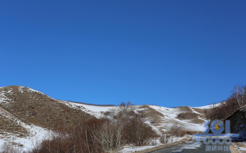 藍(lán)天雪地