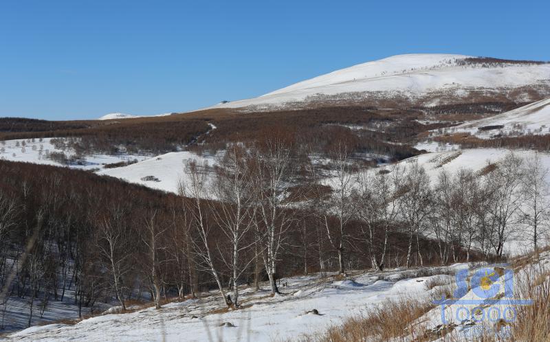 藍(lán)天雪地