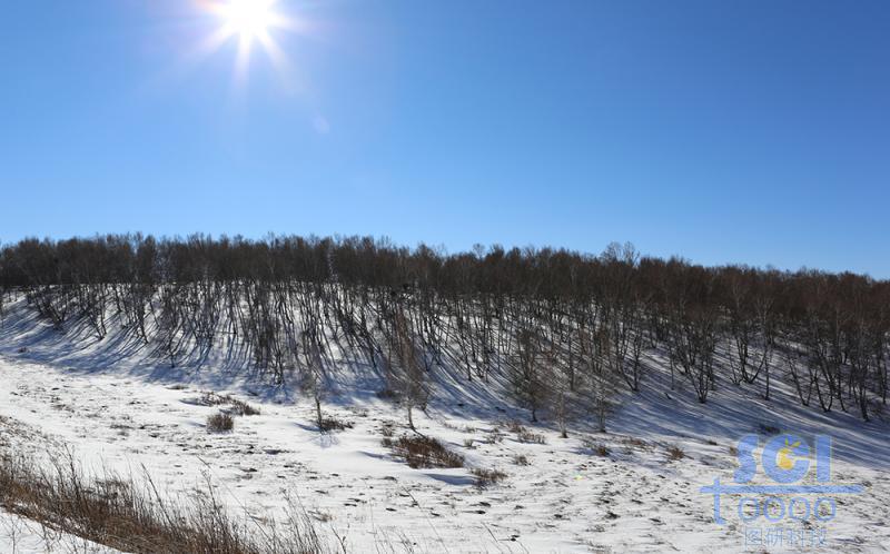 藍(lán)天雪地